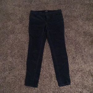 Turquoise velvet skinny pant